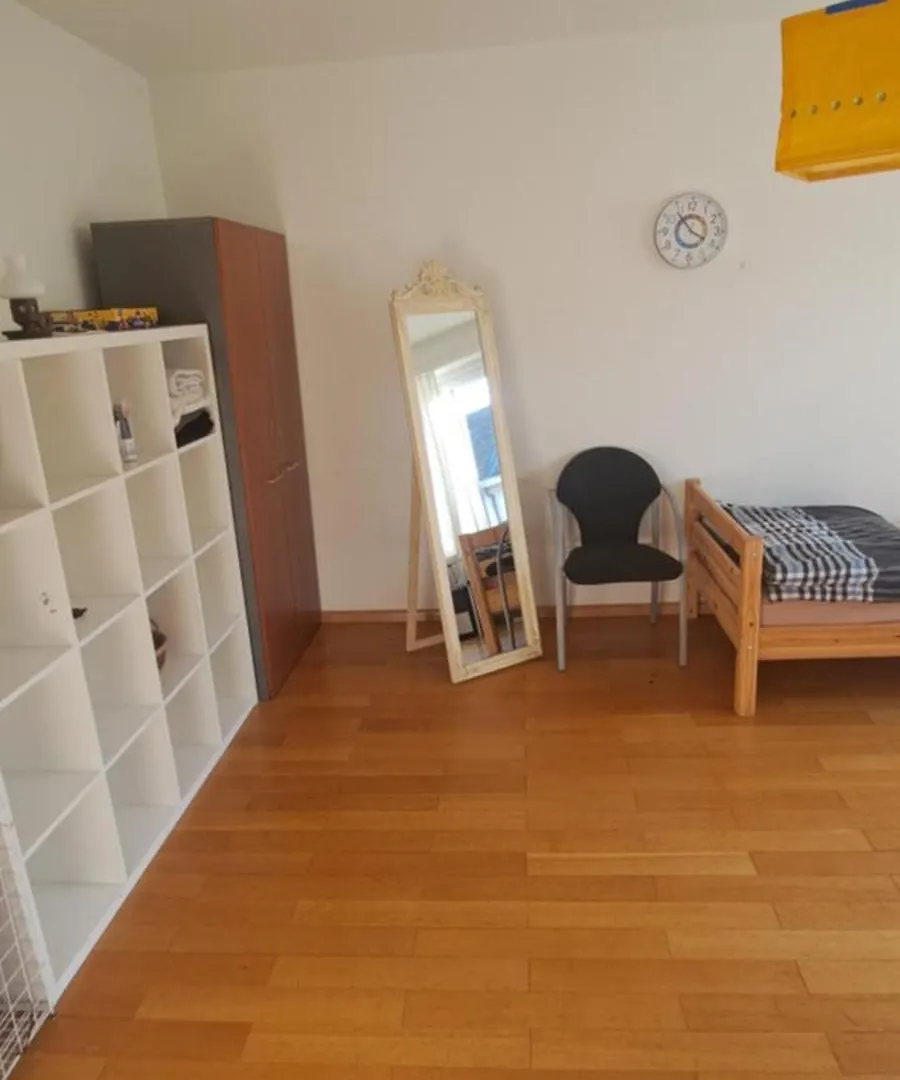 Premium Confort Basel Homestay
