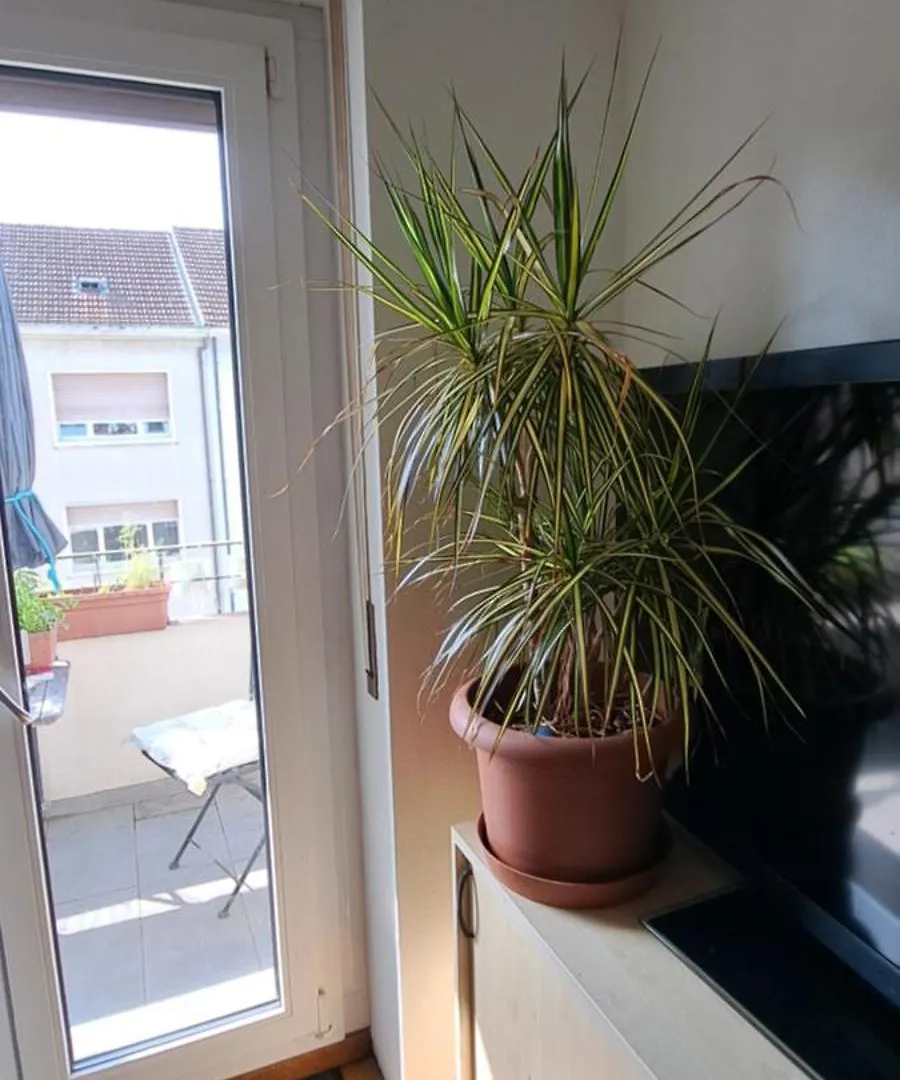 Homestay szállás Premium Confort Bázel Svájc